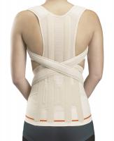 Грудо-поясничный модуль EV-203/303 для корсетов серии EV "Orliman" (EV-203(бежевый)) Грудо-поясничный модуль EV-203/303 для корсетов серии EV "Orliman" (EV-203(бежевый))